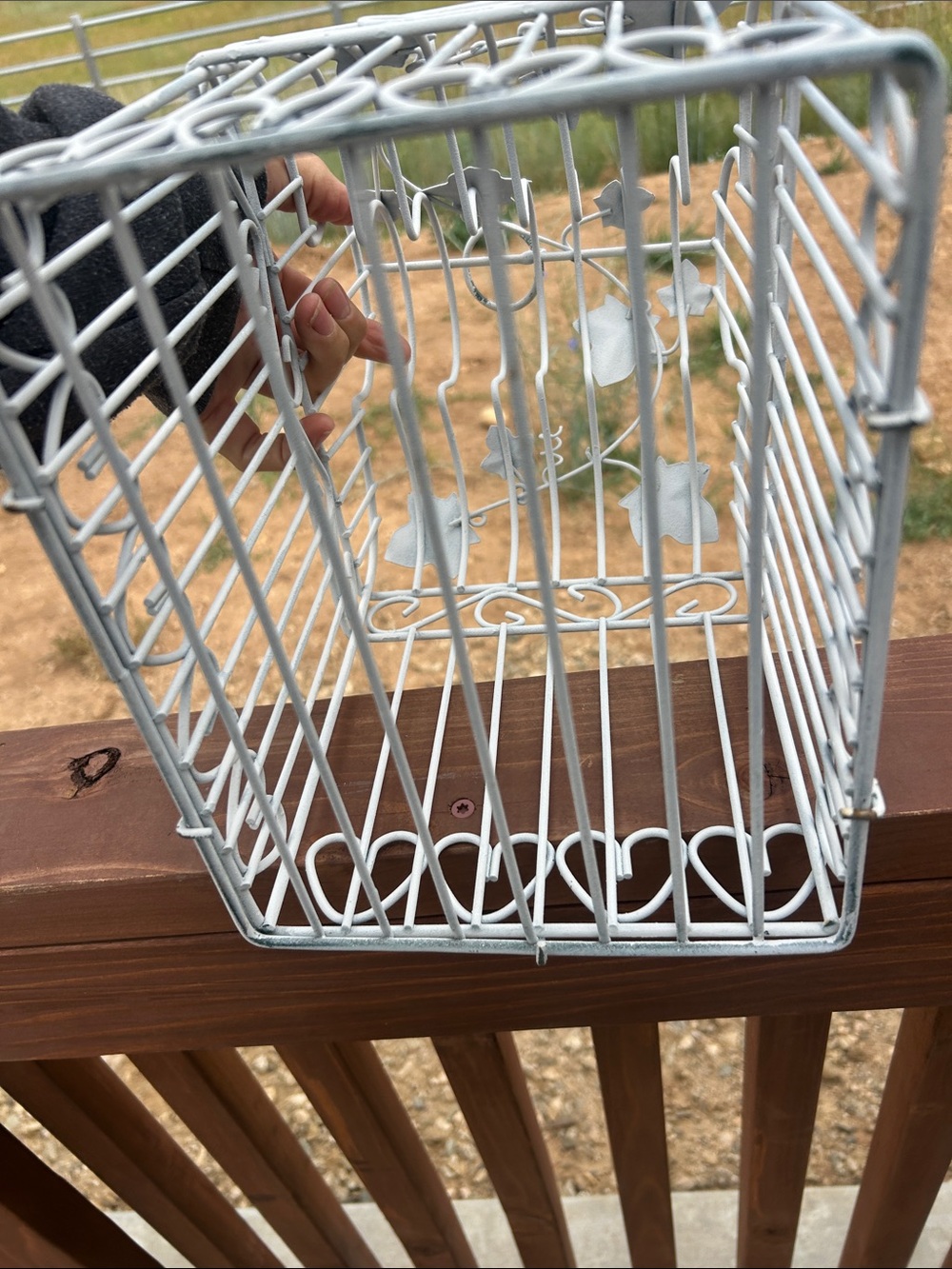 Vintage White Decorative Bird Cage Accent - Picture 7 of 8